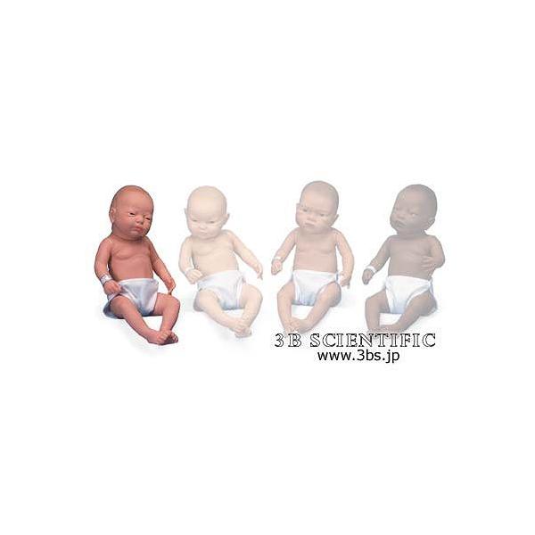 E 3BTCGtBeBbN  ͌^ lnxr[PAfij I  ͌^