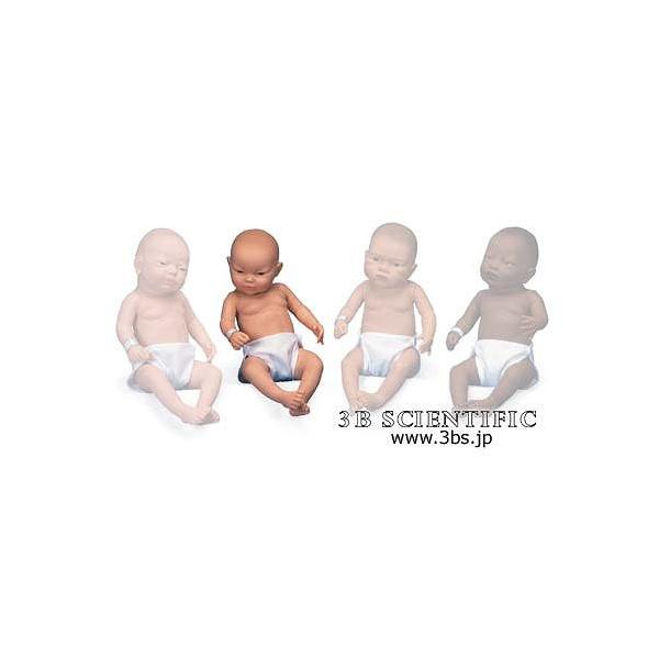 E 3BTCGtBeBbN  ͌^ AWAlnxr[PAfijj I  ͌^