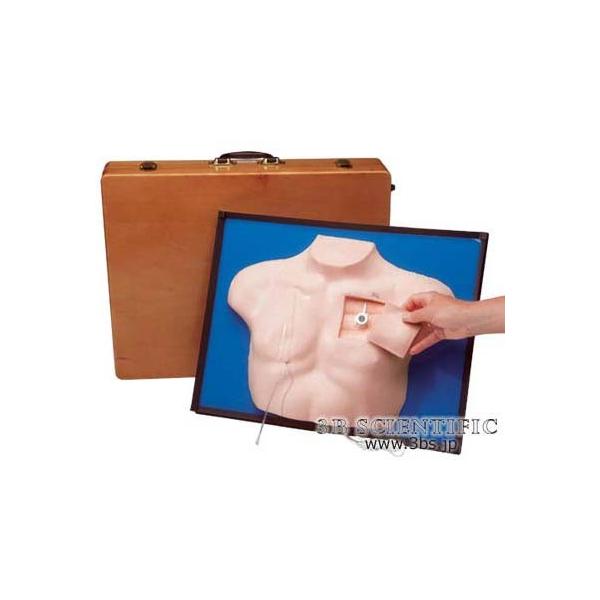 NkΏېi E 3BTCGtBeBbN  ͌^ ^Je[eV~[^[ I  ͌^