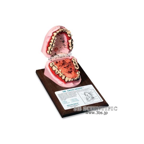 NkΏېi ^oR}EX I  ͌^