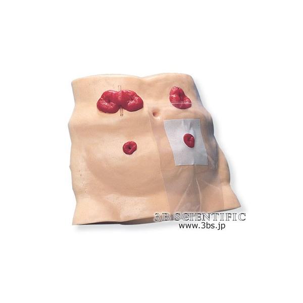 NkΏېi E 3BTCGtBeBbNЖ͌^@lH僂f I  ͌^