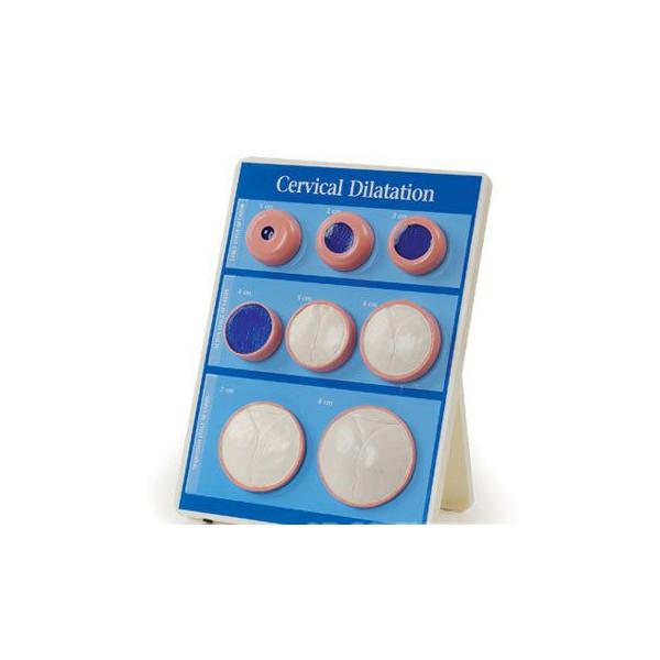 3B  l̖͌^ @؁EoY@q{zǊJpl@iw43093) I  ͌^