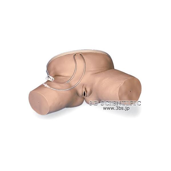 NkΏېi E 3BTCGtBeBbN  ͌^ A@V~[^[ I  ͌^