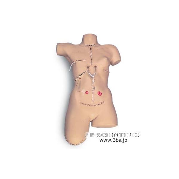 NkΏېi E 3BTCGtBeBbN  ͌^ і@V~[^[ I  ͌^