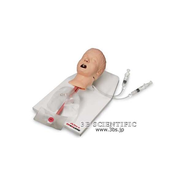 NkΏېi E 3BTCGtBeBbN  ͌^ CǗg[i[ I  ͌^