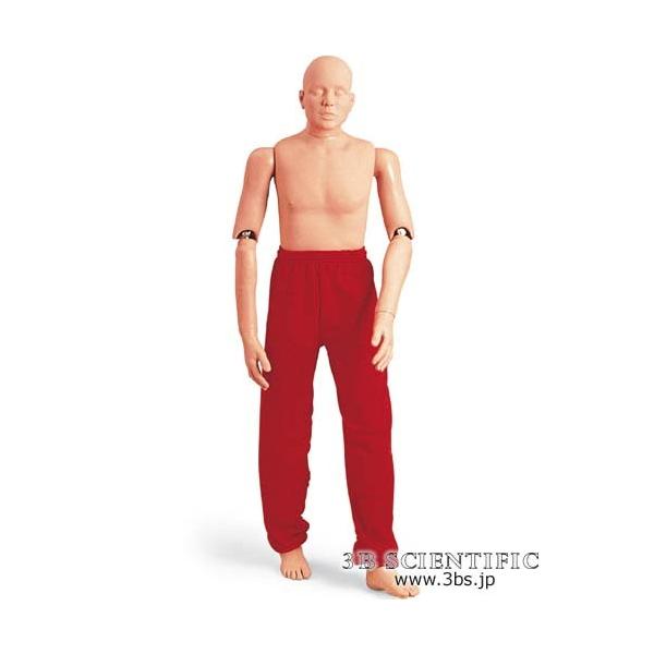 NkΏېi E 3BTCGtBeBbN  ͌^ XL[}lL 165cm/66kg I  ͌^