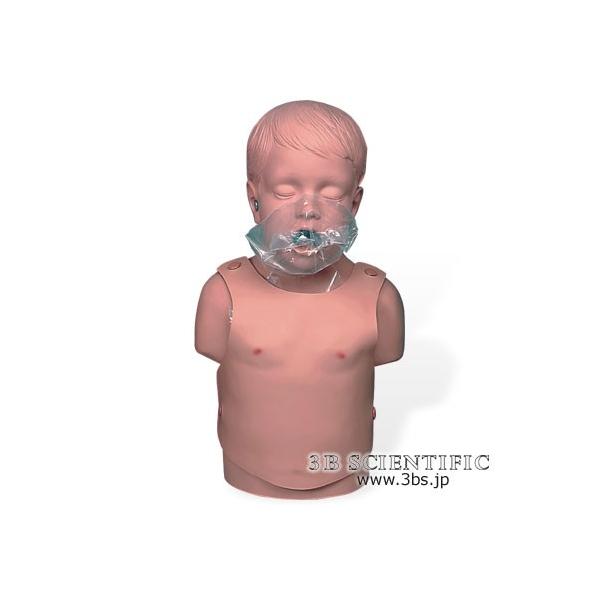 NkΏېi E 3BTCGtBeBbNЖ͌^@Sxh@g\[f I  ͌^