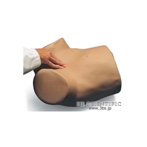 NkΏېi E 3BTCGtBeBbN  ͌^ wlȐf@V~[^[ I  ͌^