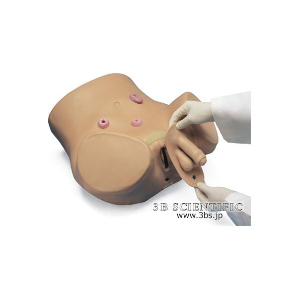 NkΏېi E 3BTCGtBeBbNЖ͌^@jA@^lHPAEV~[^[ I  ͌^