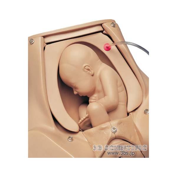 NkΏېi E 3BTCGtBeBbN  ͌^ ֐ߑَtAI|hZpW[(W45025p) I  ͌^