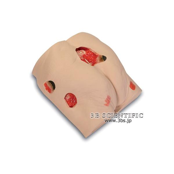 NkΏېi E 3BTCGtBeBbN  ͌^ ጃPAV~[^[ I  ͌^