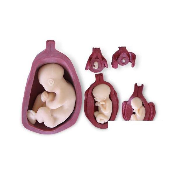 3B  l̖͌^ @؁EoY@q{Ƒَ5iKZbg\tgf@iw99999-509j I  ͌^