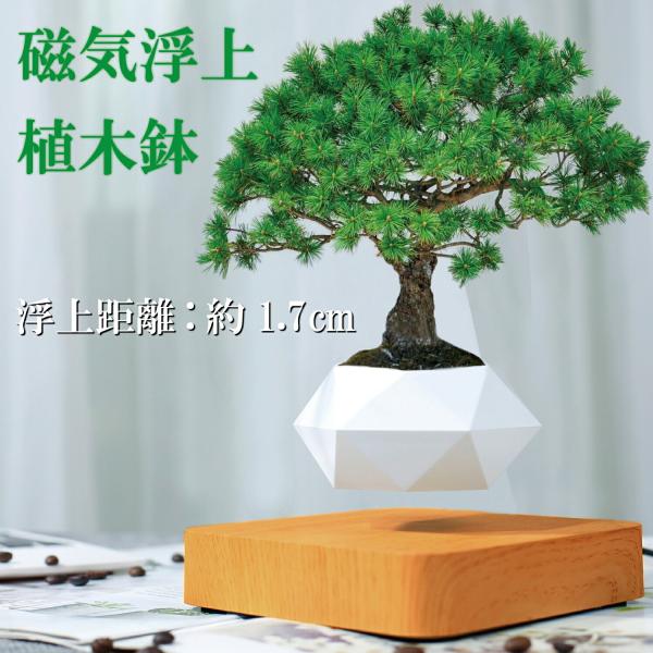 biracle_float-flowerpot