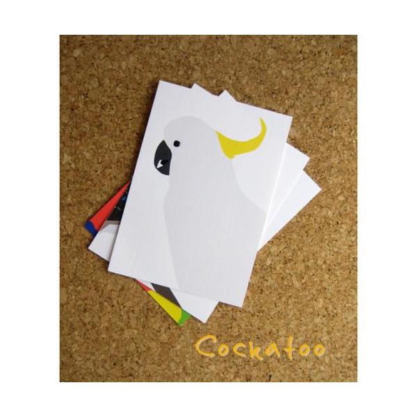 Lo^̃|XgJ[ha^CR@@G݁@ObY