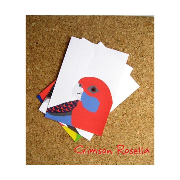 アカクサインコのポストカード／インコ　鳥　雑貨　グッズ