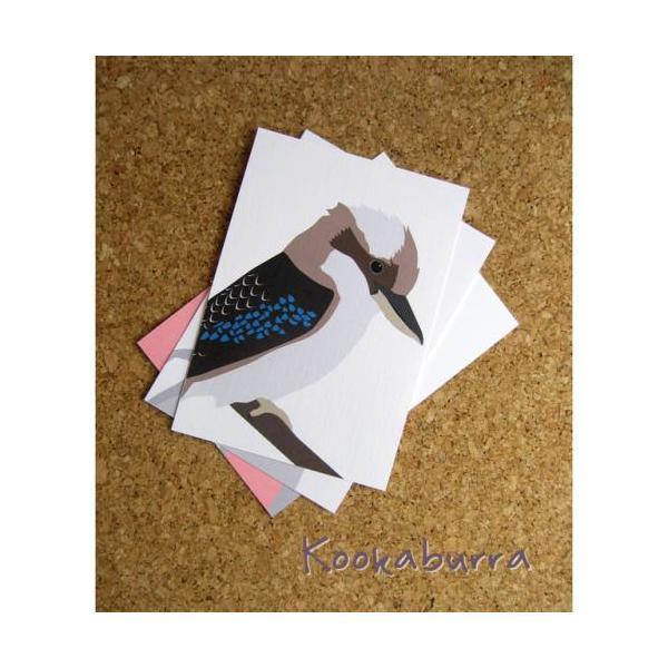 ワライカワセミのポストカード／インコ　鳥　雑貨　グッズ