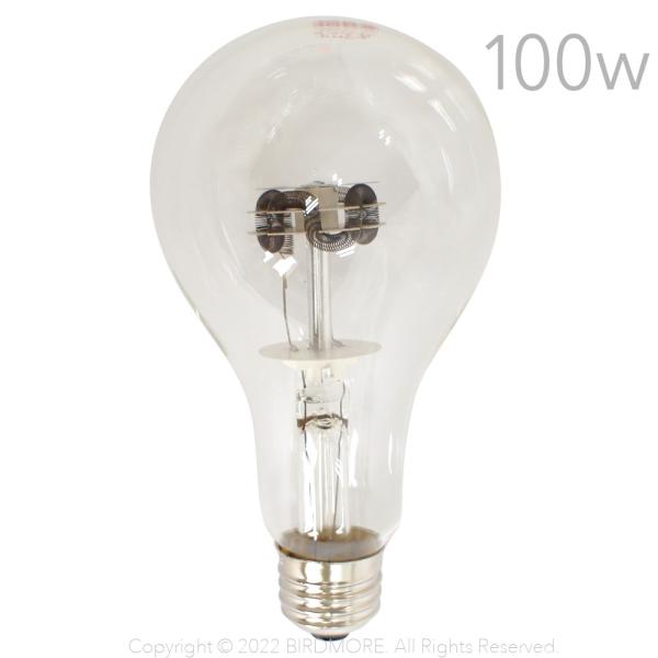 鳥 100w 保温電球 小動物用ペットグッズの人気商品・通販・価格比較 - 価格.com 鳥 100w 保温電球 小動物用ペットグッズの人気商品・通販・価格比較 - 価格.com