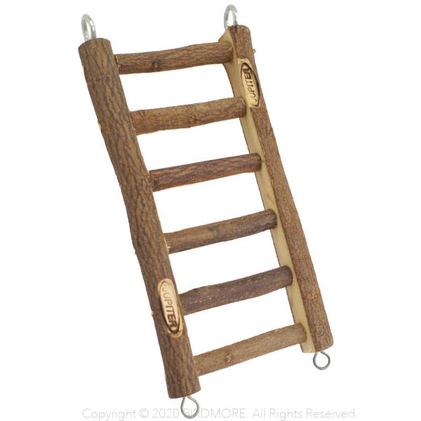 CR nVS JC@j[͂@M@9992259@BIRDMORE o[hA pi ObY   Ƃ  y ʔ R f