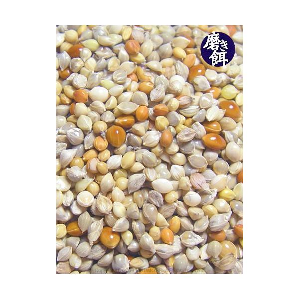 八木バードショップさんの3種配合磨き餌です！特殊な機械で餌を磨くため、未成熟の小さい粒や細かい汚れやゴミが取り除かれ、粒が揃った美味しそうな餌です。ヒエを中心にキビ・アワを配合した室内飼いの小型インコ類に適したヘルシー配合です。発情制限の一...