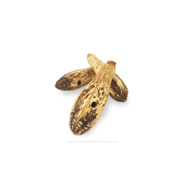 乾燥させたマホガニーの実です。サイズ/長さ約7〜10cm適用鳥種/全てのインコ・オウム類に・・・入り数/1個