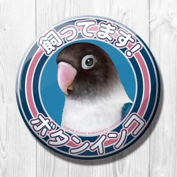 缶バッジ　「 ボタンインコ ブルー」57mmの缶バッジです。