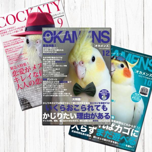 TOMO YAMASHITA DESIGN STUDIO. B3�|�X�^�[ �G���V���[�Y2  3���Z�b�g  195A0207  BIRDMORE �o�[�h���A CRAFT GARDEN ���p�i ���O�b�Y �G�� �� �Ƃ� �v���[���g