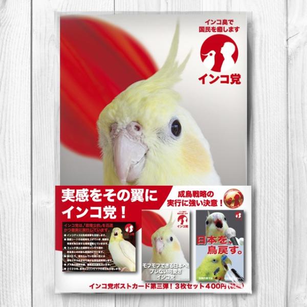 TOMO YAMASHITA DESIGN STUDIO.  �C���R�}��O�e�@�|�X�g�J�[�h�R���Z�b�g 195A0219  �l�R�|�X �Ή��\ �C���R�T�~�b�g �o�[�h���A ���p�i ���O�b�Y