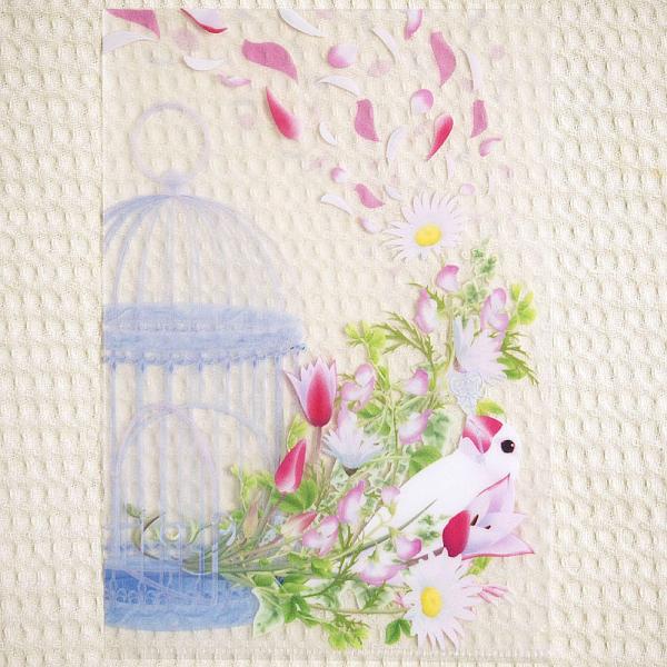 H[ A5NAt@C t   202A0213 @lR|XΉ\