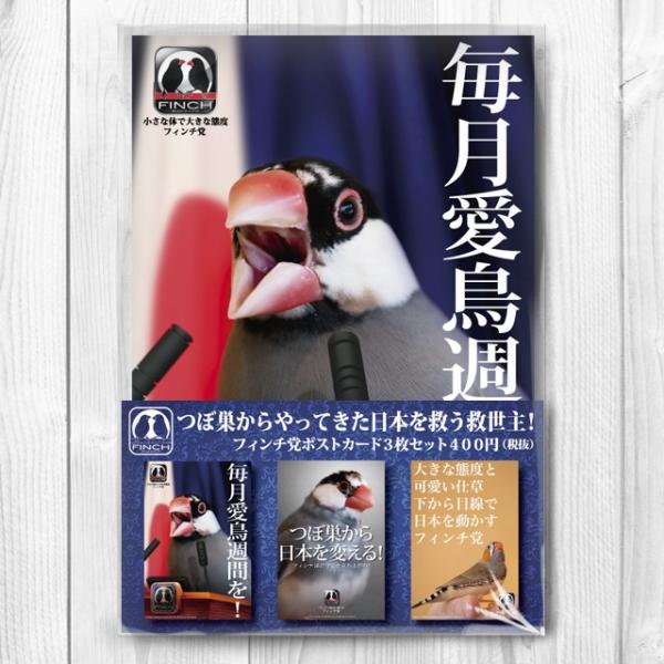 TOMO YAMASHITA DESIGN STUDIO.  �t�B���`�}�@�|�X�g�J�[�h�R���Z�b�g 195A0228  �l�R�|�X �Ή��\ �C���R�T�~�b�g �o�[�h���A ���p�i ���O�b�Y