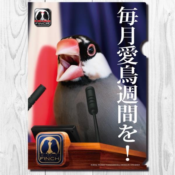 TOMO YAMASHITA DESIGN STUDIO.  A4NAt@C@tB`} TԂI  195A0229@ lR|X Ή\ CRT~bg o[hA pi