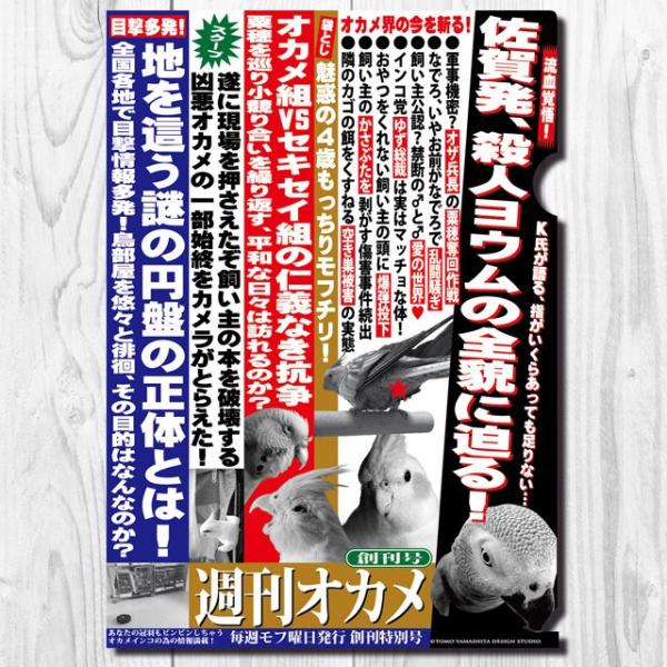 TOMO YAMASHITA DESIGN STUDIO.  A4NAt@C@TIJ n 195A0232 lR|X Ή\ CRT~bg o[hA pi ObY G