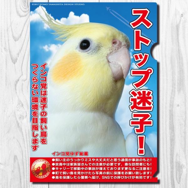 TOMO YAMASHITA DESIGN STUDIO. A4NAt@C@CR} Xgbvq  195A0261  lR|X Ή\ CRT~bg o[hA pi