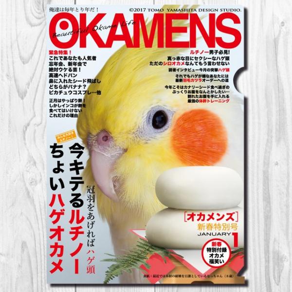 TOMO YAMASHITA DESIGN STUDIO.  A4NAt@C@IJY1  Le郋`m[v 195A0262 lR|X Ή\ CRT~bg o[hA pi