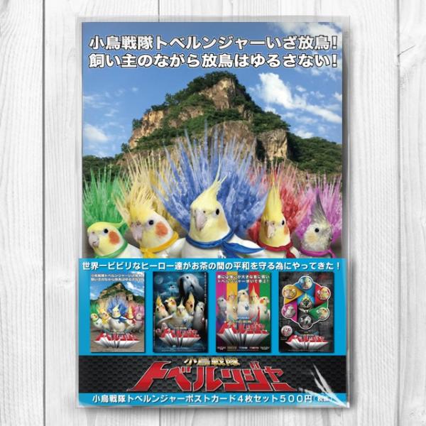 TOMO YAMASHITA DESIGN STUDIO.  �g�x�����W���[�@�|�X�g�J�[�h�S���Z�b�g 195A0293  �l�R�|�X �Ή��\ �C���R�T�~�b�g �o�[�h���A ���p�i ���O�b�Y