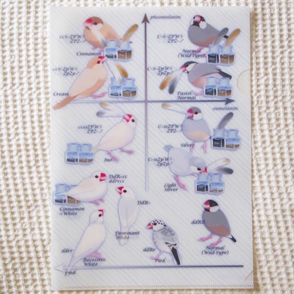 H[ A4 NA t@C HF`   i 202A0243  lR|XΉ\  pi ObY  Ƃ g v[g