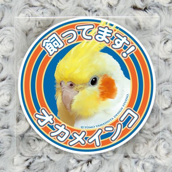 TOMOYAMASHITA DESIGN STUDIO. �I�J���C���R �����Ă܂��X�e�b�J�[ 195A0341  �l�R�|�X �Ή��\   �C���R�T�~�b�g �o�[�h���A ���O�b�Y ���p�i �G�� ��