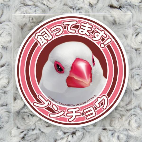 TOMOYAMASHITA DESIGN STUDIO. ���� �����Ă܂��X�e�b�J�[ 195A0343�@�@�l�R�|�X�Ή��\ �C���R�T�~�b�g �o�[�h���A ���O�b�Y ���p�i �G�� �� �o�[�h