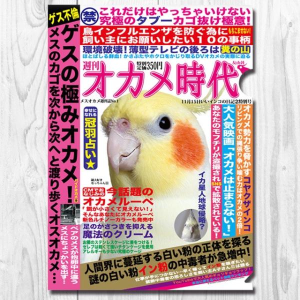 TOMO YAMASHITA DESIGN STUDIO.  A4NAt@C@ IJv 195A0344 lR|X Ή\ CRT~bg o[hA pi ObY G ObY