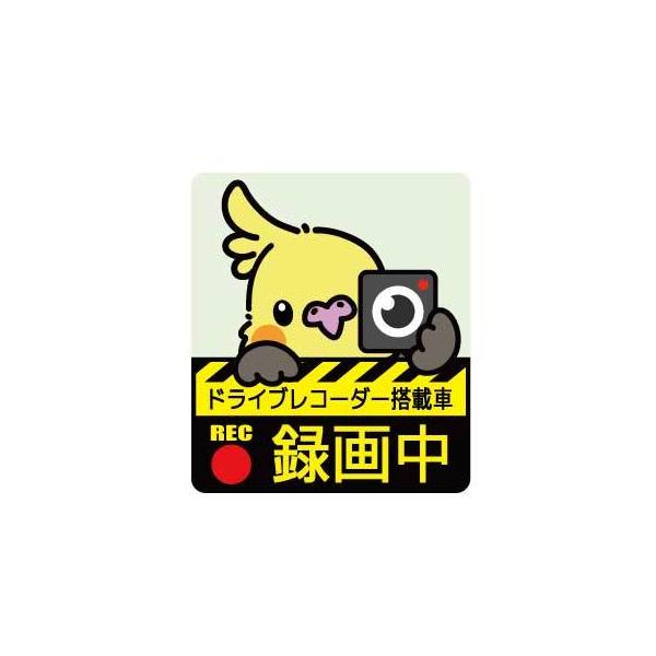 Ƃ艮   hCuR[_[ XebJ[ IJCR   lR|X Ή\@  BIRDMORE o[hA pi ObY G ObY  Ƃ g CR