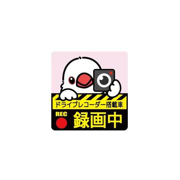 Ƃ艮   hCuR[_[ XebJ[    lR|X Ή\@  BIRDMORE o[hA pi ObY G ObY  Ƃ g u`E