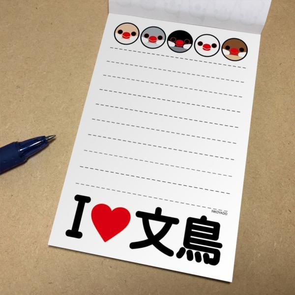 񂱉  TH  054A0210 lR|X Ή\  BIRDMORE o[hA ObY pi G  o[h v[g