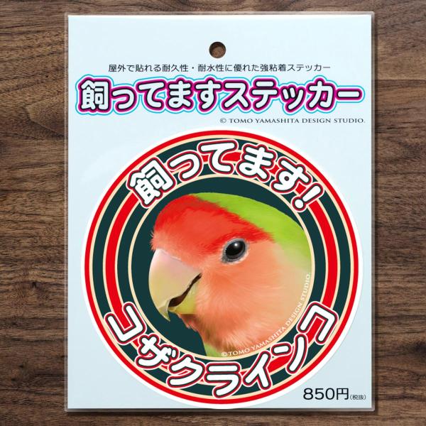 コザクラインコ飼ってますステッカー車やバイク、スーツケースなど屋外で貼れる耐久性・耐水性に優れたステッカーとなります。サイズ10cm