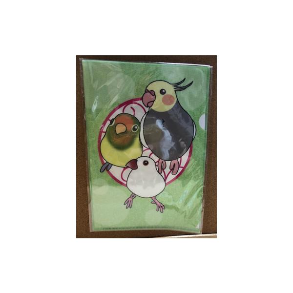 ܂ǂ股܂  A5NAt@C@IJuo  053A0248 lR|X Ή\  BIRDMORE o[hA ObY pi G  o[h