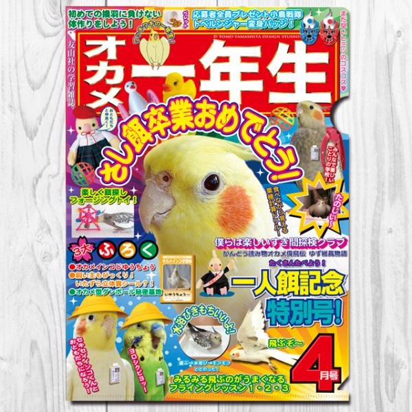 TOMO YAMASHITA DESIGN STUDIO.   A4NAt@C@IJN 195A0382 lR|X Ή\@( BIRDMORE o[hA CRAFT GARDEN pi ObY G O