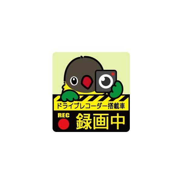 Ƃ艮 hCuR[_[ XebJ[ LG {^CR  lR|X Ή\@BIRDMORE o[hA pi ObY G ObY  Ƃ g CR