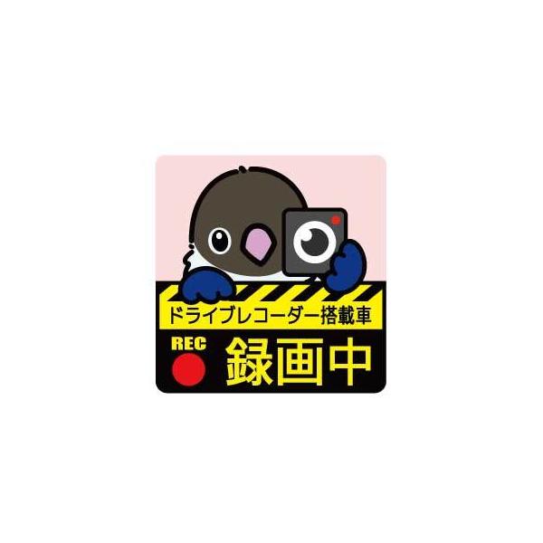 Ƃ艮 hCuR[_[ XebJ[ u[ {^CR  lR|X Ή\@BIRDMORE o[hA pi ObY G ObY  Ƃ g CR