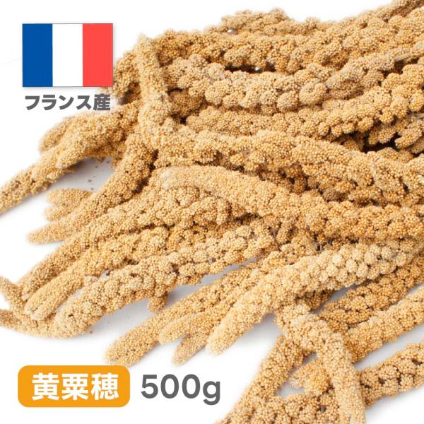 [Release date: April 14, 2021]商品名：フランス産 粟穂内容量：500g保存方法：高温多湿・直射日光を避け、涼しい場所に保管し、お早めにお使い下さい。※本商品は、そのときの作柄の出来不出来により、多少実つきが変動...