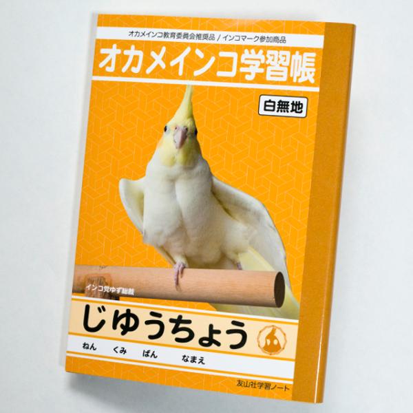 TOMO YAMASHITA DESIGN STUDIO.  ������ �I�J�� ���䂤���傤�@195A0405 �l�R�|�X�Ή��\  BIRDMORE �o�[�h���A ���O�b�Y ���p�i �G�� �� �o�[�h �v���[���g