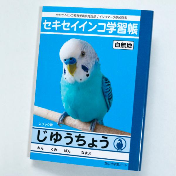TOMO YAMASHITA DESIGN STUDIO.  ������ �Z�L�Z�C ���䂤���傤�@195A0406 �l�R�|�X�Ή��\  BIRDMORE �o�[�h���A ���O�b�Y ���p�i �G�� �� �o�[�h �v���[���g