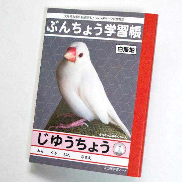 TOMO YAMASHITA DESIGN STUDIO.  ������ �Ԃ񂿂傤 ���䂤���傤�@195A0407 �l�R�|�X�Ή��\  BIRDMORE �o�[�h���A ���O�b�Y ���p�i �G�� �� �o�[�h �v���[��